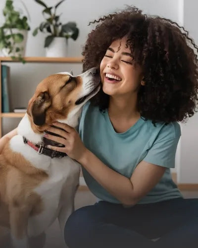 Pet