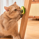 Brinquedo Interativo Abacate com Catnip Erva Natural