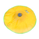 Disco Pet Interativo para Gatos